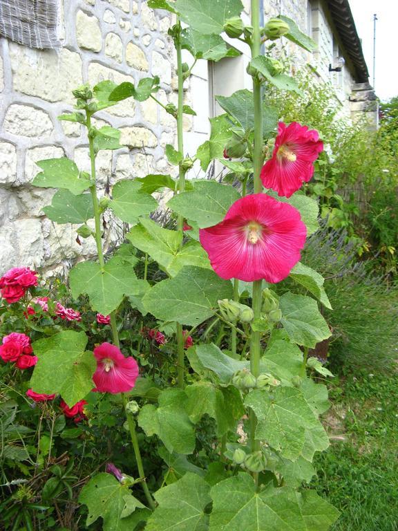 La Balastiere Beaumont-en-Véron Dış mekan fotoğraf